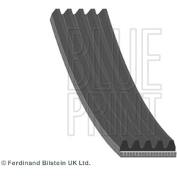 V formos rumbuoti diržai
                                BLUE PRINT                                                AD05R1188