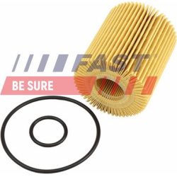 alyvos filtras
                                FAST                                FT01343, FAST, FT01343, auto detalė