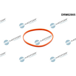 tarpiklis, droselio korpusas
                                Dr.Motor Automotive                                             