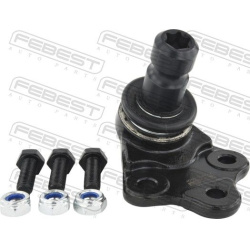 Šarnyras
                                FEBEST                                                2920-L550F, Nenurodytas gamin