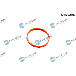 tarpiklis, droselio korpusas
                                Dr.Motor Automotive                                             