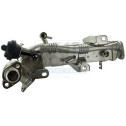 aušintuvas, išmetamųjų dujų recirkuliacija
                                MEAT &amp; DORIA                             