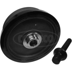 alkūninio veleno skriemulių rinkinys
                                CORTECO                                               