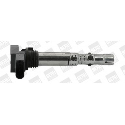 Ritė uždegimo babina
                                BorgWarner (BERU)                                                ZSE05