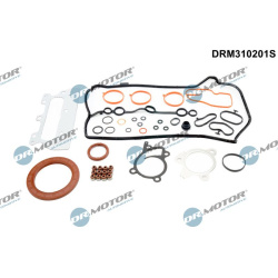 visas tarpiklių komplektas, variklis
                                Dr.Motor Automotive                                    