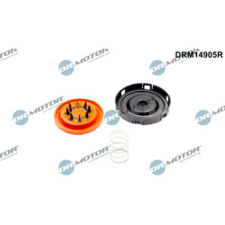 membrana, karterio alsuoklis
                                Dr.Motor Automotive                                             