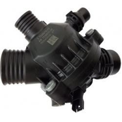 termostatas, aušinimo skystis
                                BorgWarner (Wahler)                                           