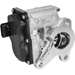 ERG vožtuvas
                                DELPHI                                                EG10747-12B1, Nenurodytas