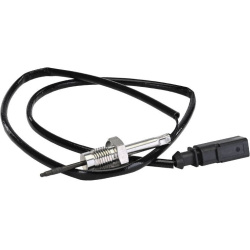 jutiklis, išmetamųjų dujų temperatūra
                                DELPHI                                            