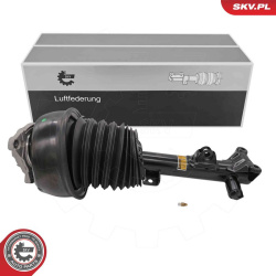 pneumatinės spyruoklės statramstis
                                ESEN SKV                                                