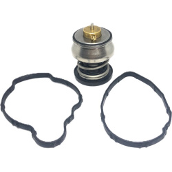 termostatas, aušinimo skystis
                                MOTORAD                                                848-88I