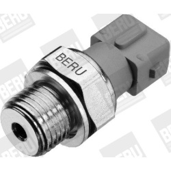 alyvos slėgio jungiklis
                                BorgWarner (BERU)                                                SPR