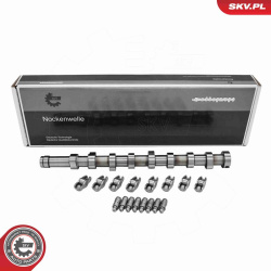 Skirstomojo veleno komplektas
                                ESEN SKV                                                80SKV30
