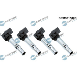 Ritė, uždegimas
                                Dr.Motor Automotive                                                DRM30150
