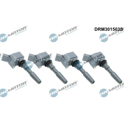ritė, uždegimas
                                Dr.Motor Automotive                                                DRM30150