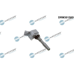 ritė, uždegimas
                                Dr.Motor Automotive                                                DRM30150