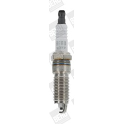 BorgWarner (BERU)                                                Z 216, BorgWarner (BERU), Z216, auto detalė
