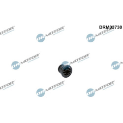 Srieginis dangtelis, automatinės pavarų dėžės korpusas
                                Dr.Motor Automotive              