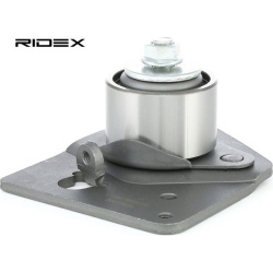 paskirstymo diržo komplektas
                                RIDEX                                                307T0089, 