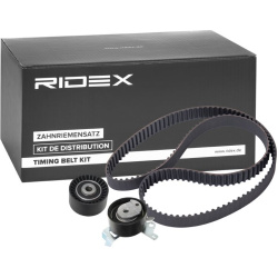 Paskirstymo diržo komplektas
                                RIDEX                                                307T0053, 