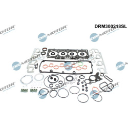 tarpiklių komplektas, cilindro galva
                                Dr.Motor Automotive                                    