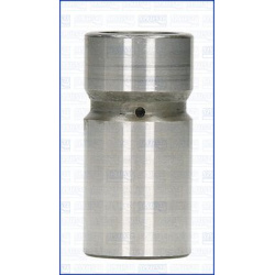 svirtis/kumštelis
                                AJUSA                                                85007600, AJUSA, 8500