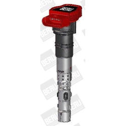 Ritė uždegimo babina
                                BorgWarner (BERU)                                                ZSE06