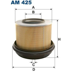 oro filtras
                                FILTRON                                                AM425, Nenurodytas gaminto