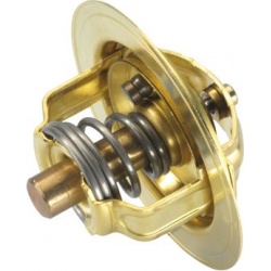 termostatas, aušinimo skystis
                                BorgWarner (Wahler)                                3032.88, Bo