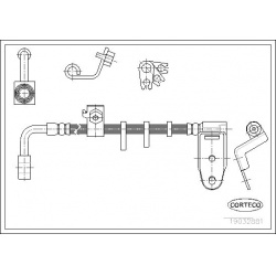 stabdžių žarnelė
                                CORTECO                                                19032881, CORTECO