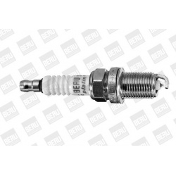 BorgWarner (BERU)                                Z 228, BorgWarner (BERU), Z228, auto detalė