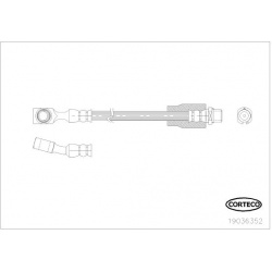 stabdžių žarnelė
                                CORTECO                                                19036352, CORTECO