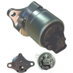 ERG vožtuvas
                                DELPHI                                                EG10006-12B1, Nenurodytas