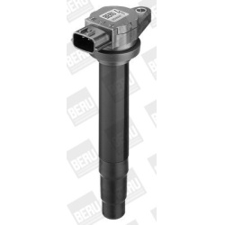 ritė, uždegimas
                                BorgWarner (BERU)                                ZSE 021, BorgWarner (BERU)