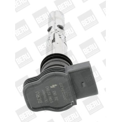 Ritė uždegimo babina
                                BorgWarner (BERU)                                                ZSE04