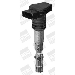 Ritė uždegimo babina
                                BorgWarner (BERU)                                ZSE043, BorgWarner (B