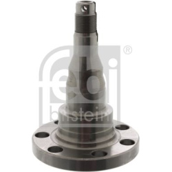 ašies kakliukas, ašies korpusas
                                FEBI BILSTEIN                                              