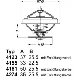 termostatas, aušinimo skystis
                                BorgWarner (Wahler)                                           