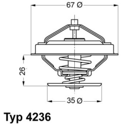 termostatas, aušinimo skystis
                                BorgWarner (Wahler)                                           