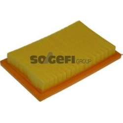oro filtras
                                PURFLUX                                A1031, PURFLUX, A1031, auto detalė