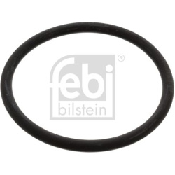 tarpiklis, termostatas
                                FEBI BILSTEIN                                17966, FEBI BILSTEIN, 179