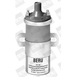 ritė, uždegimas
                                BorgWarner (BERU)                                                ZS 106, Bo