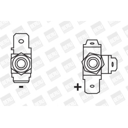 ritė, uždegimas
                                BorgWarner (BERU)                                                ZS 123, Bo