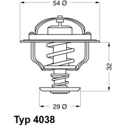 termostatas, aušinimo skystis
                                BorgWarner (Wahler)                                           