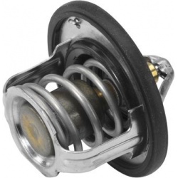 termostatas, aušinimo skystis
                                BorgWarner (Wahler)                                410229.82D,