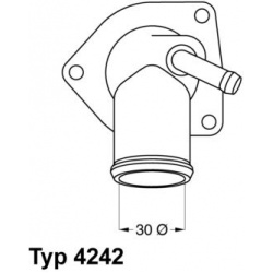 termostatas, aušinimo skystis
                                BorgWarner (Wahler)                                           