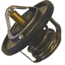 termostatas, aušinimo skystis
                                BorgWarner (Wahler)                                           