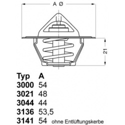 termostatas, aušinimo skystis
                                BorgWarner (Wahler)                                           