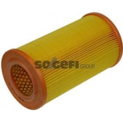 oro filtras
                                PURFLUX                                A1009, PURFLUX, A1009, auto detalė