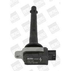 ritė, uždegimas
                                BorgWarner (BERU)                                                ZSE 056, B